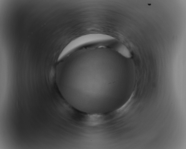 X0000093240192200710101428