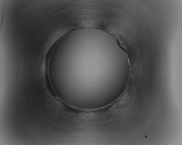 X0000093240194200710101428