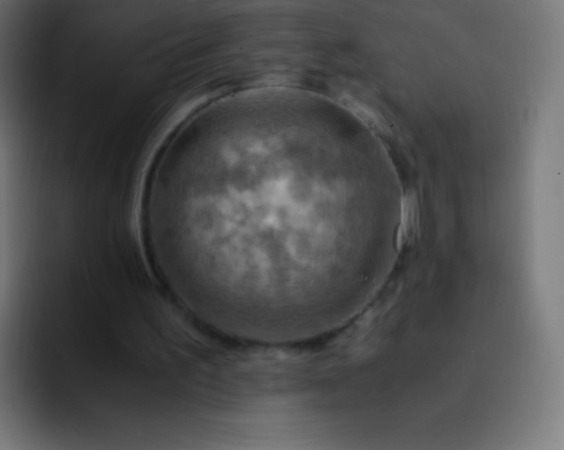 X0000093240195200710101428