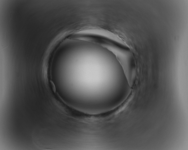 X0000093240197200710101428