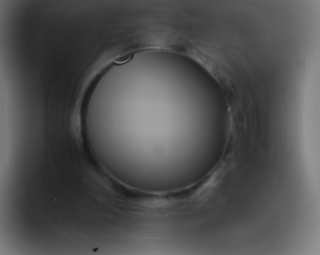 X0000093240198200710101428