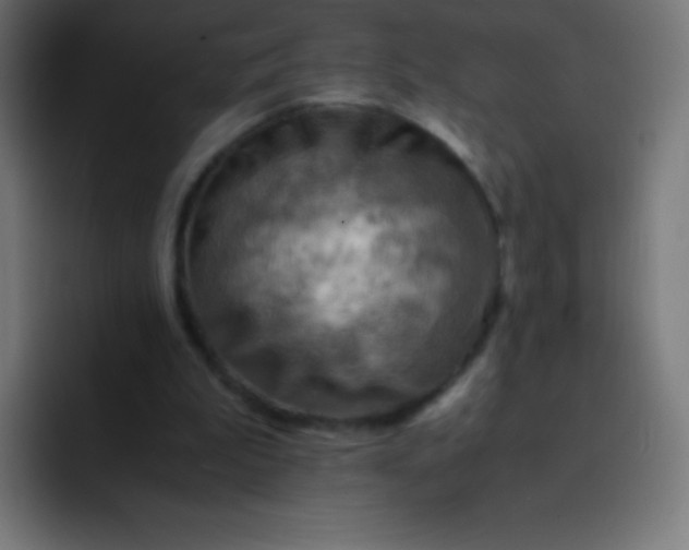 X0000093240199200710101428