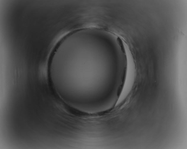 X0000093240200200710101428