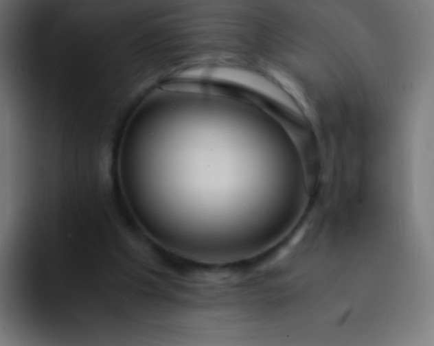 X0000093240201200710101428