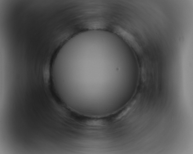 X0000093240202200710101428