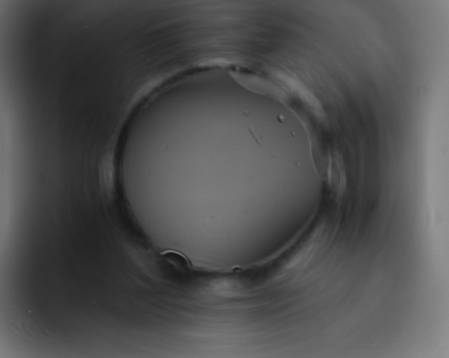 X0000093240204200710101428