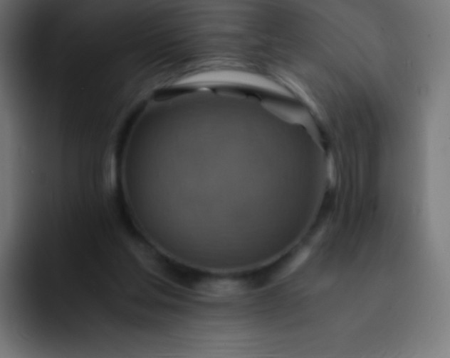 X0000093240205200710101428