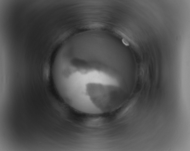 X0000093240206200710101428