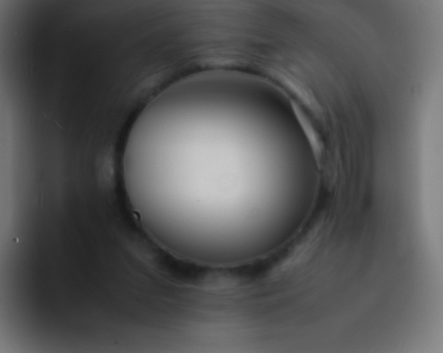 X0000093240207200710101428