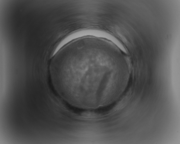 X0000093240211200710101428