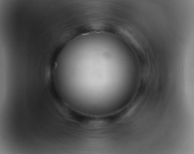 X0000093240213200710101428
