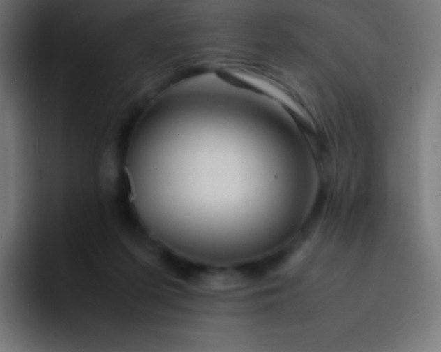 X0000093240215200710101428