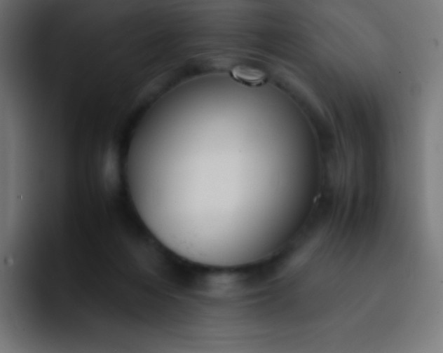 X0000093240216200710101428