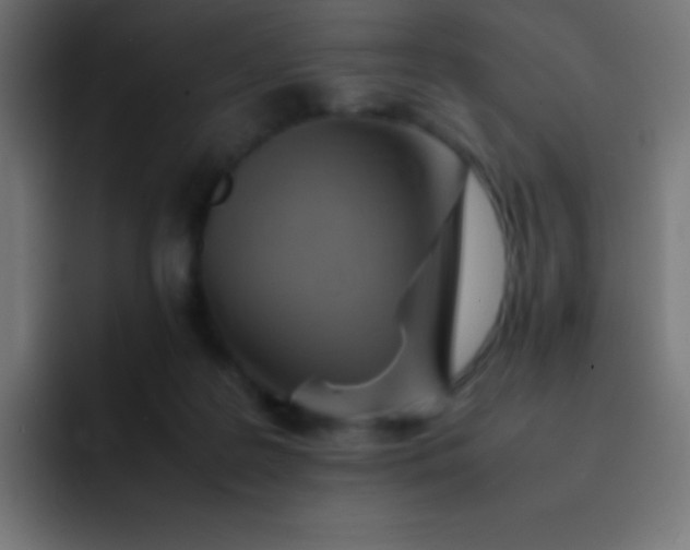 X0000093240219200710101428