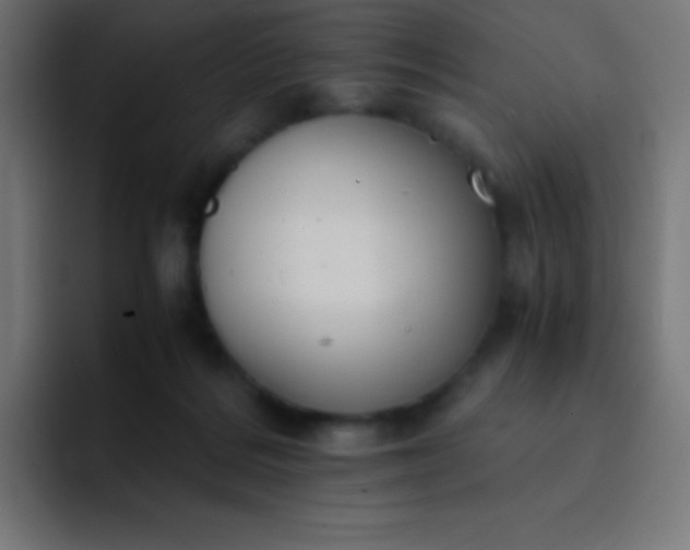 X0000093240220200710101428