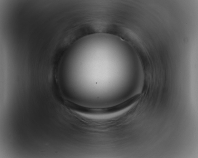 X0000093240221200710101428