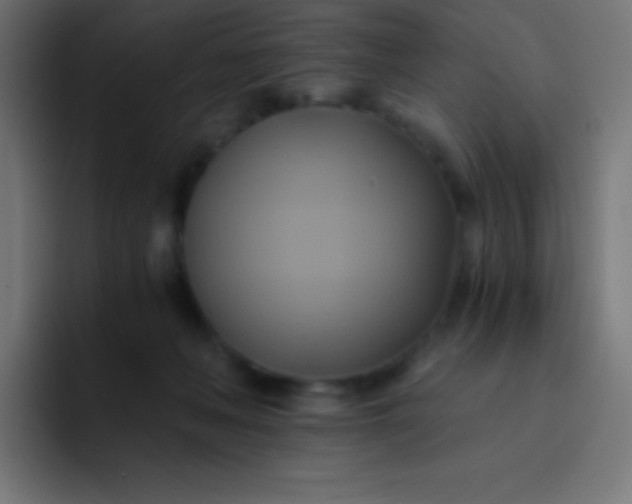 X0000093240222200710101428