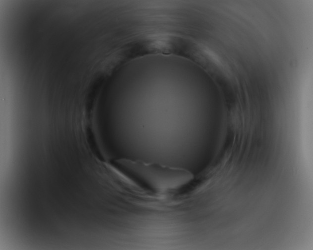X0000093240223200710101428