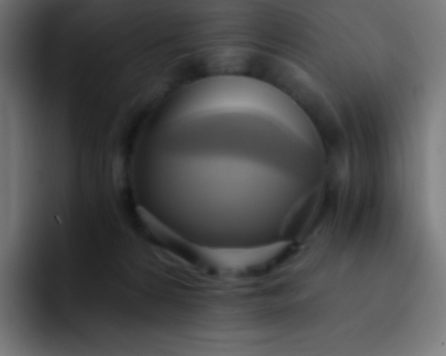 X0000093240224200710101428