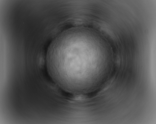 X0000093240226200710101428