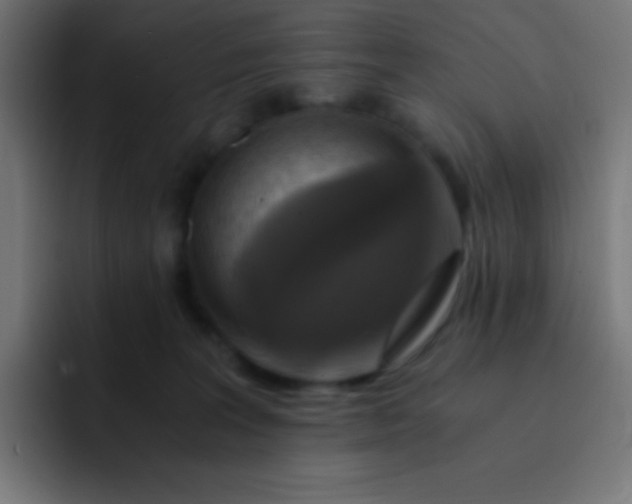 X0000093240227200710101428