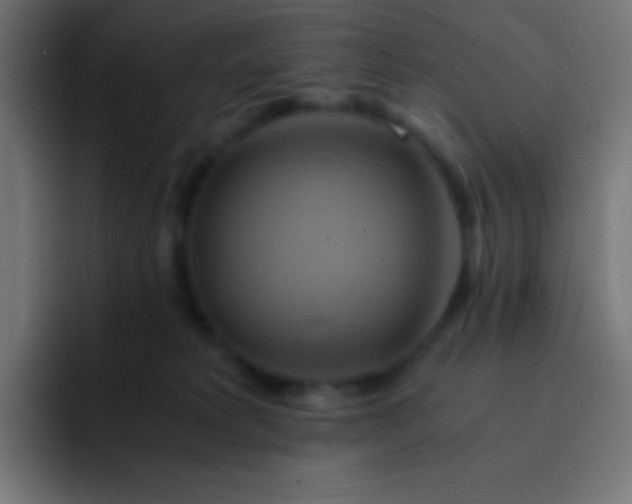 X0000093240229200710101428