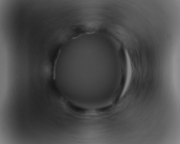 X0000093240231200710101427