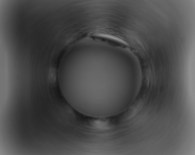 X0000093240232200710101427