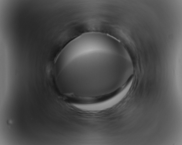 X0000093240233200710101427