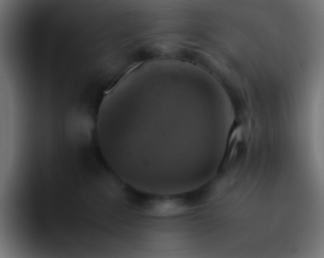 X0000093240235200710101427