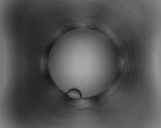 X0000093240236200710101427