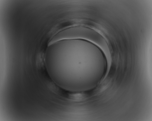 X0000093240237200710101427