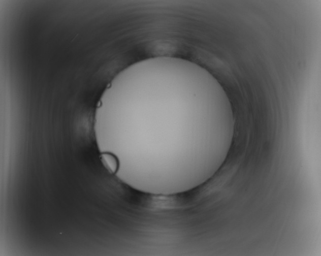 X0000093240240200710101427