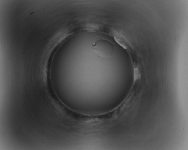 X0000093240243200710101427