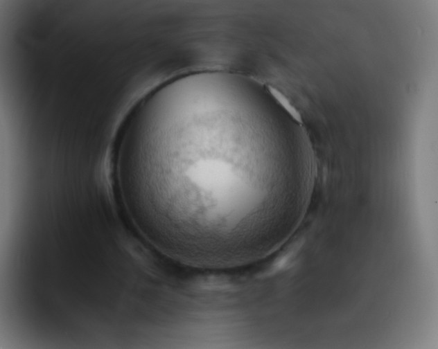 X0000093240244200710101427