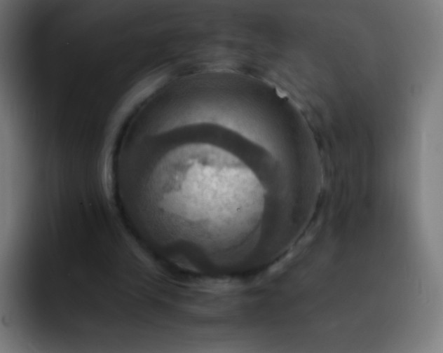 X0000093240245200710101427