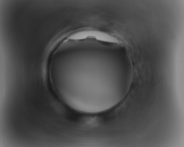 X0000093240247200710101427