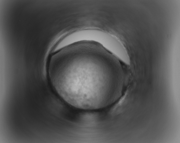 X0000093240248200710101427