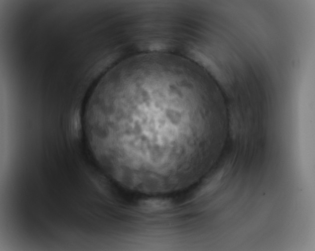 X0000093240251200710101427