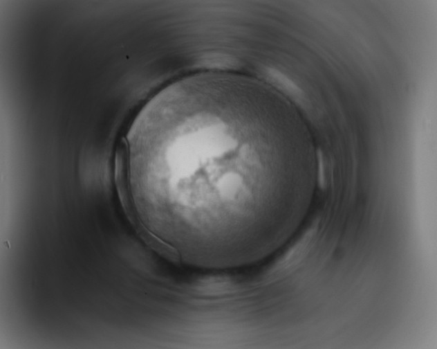 X0000093240252200710101427