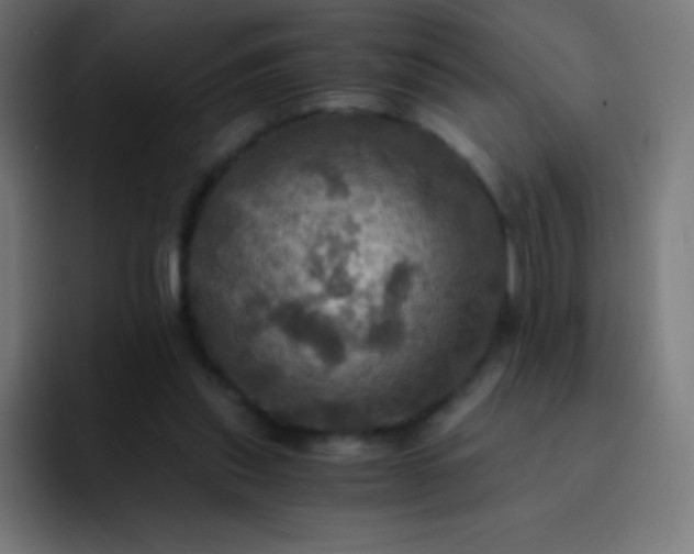 X0000093240253200710101427