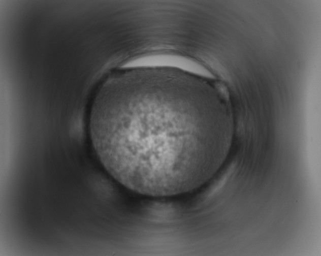 X0000093240256200710101427
