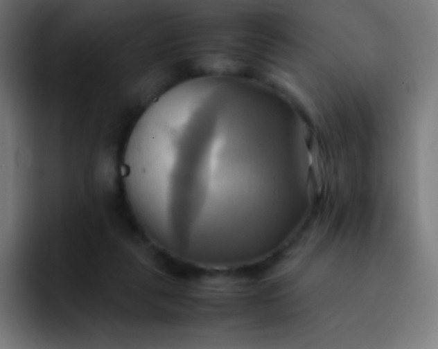 X0000093240259200710101427