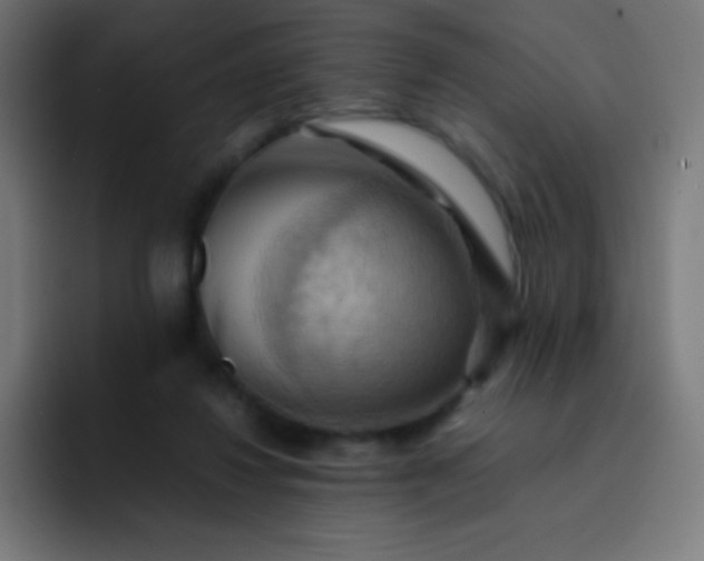 X0000093240260200710101427