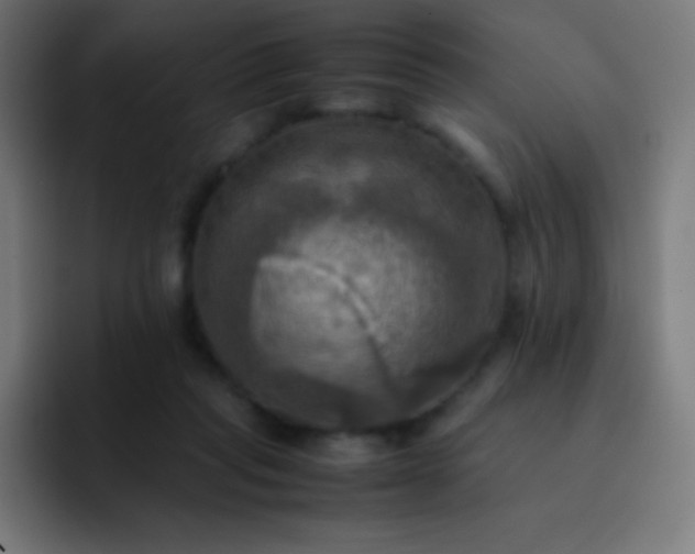 X0000093240261200710101427