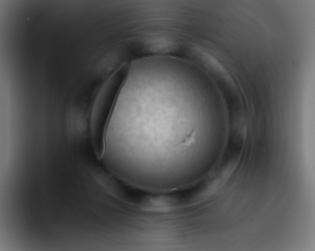 X0000093240268200710101427