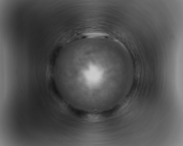 X0000093240272200710101427