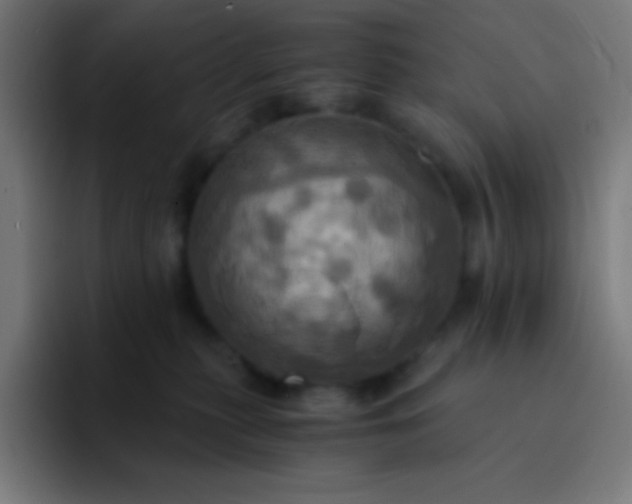 X0000093240279200710101427