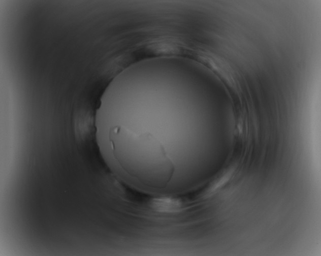 X0000093240281200710101427