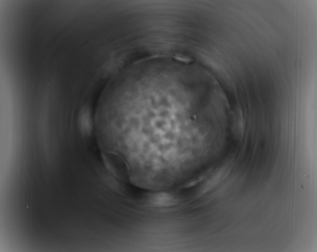 X0000093240287200710101427